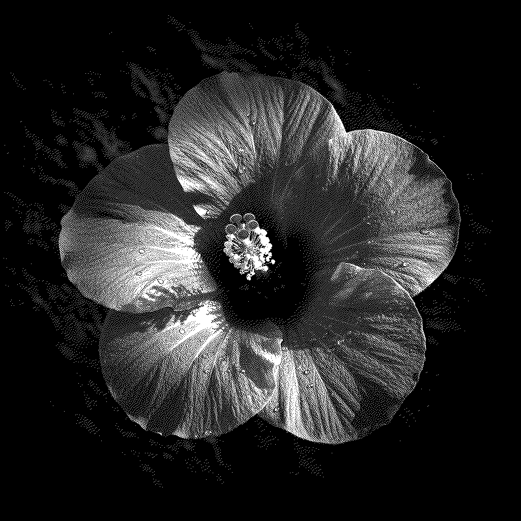 Maga Blossom Elegance